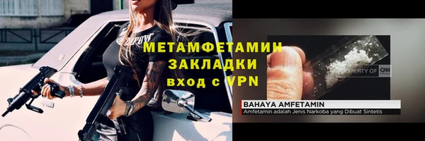 прущие грибы Нефтекумск