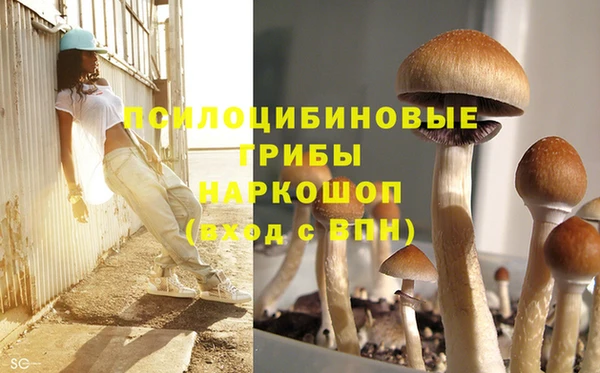 хмурый Армянск