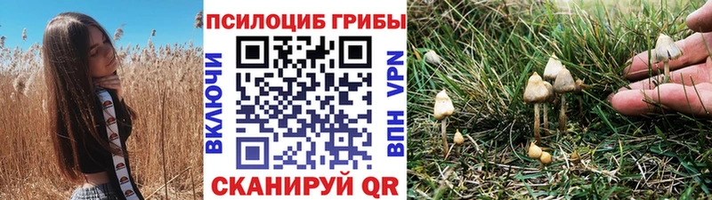 Галлюциногенные грибы Psilocybine cubensis  закладки  Сосенский 